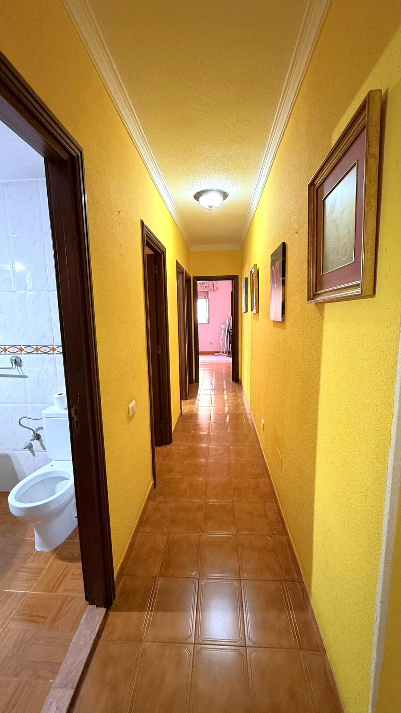 Imagen Galería 26